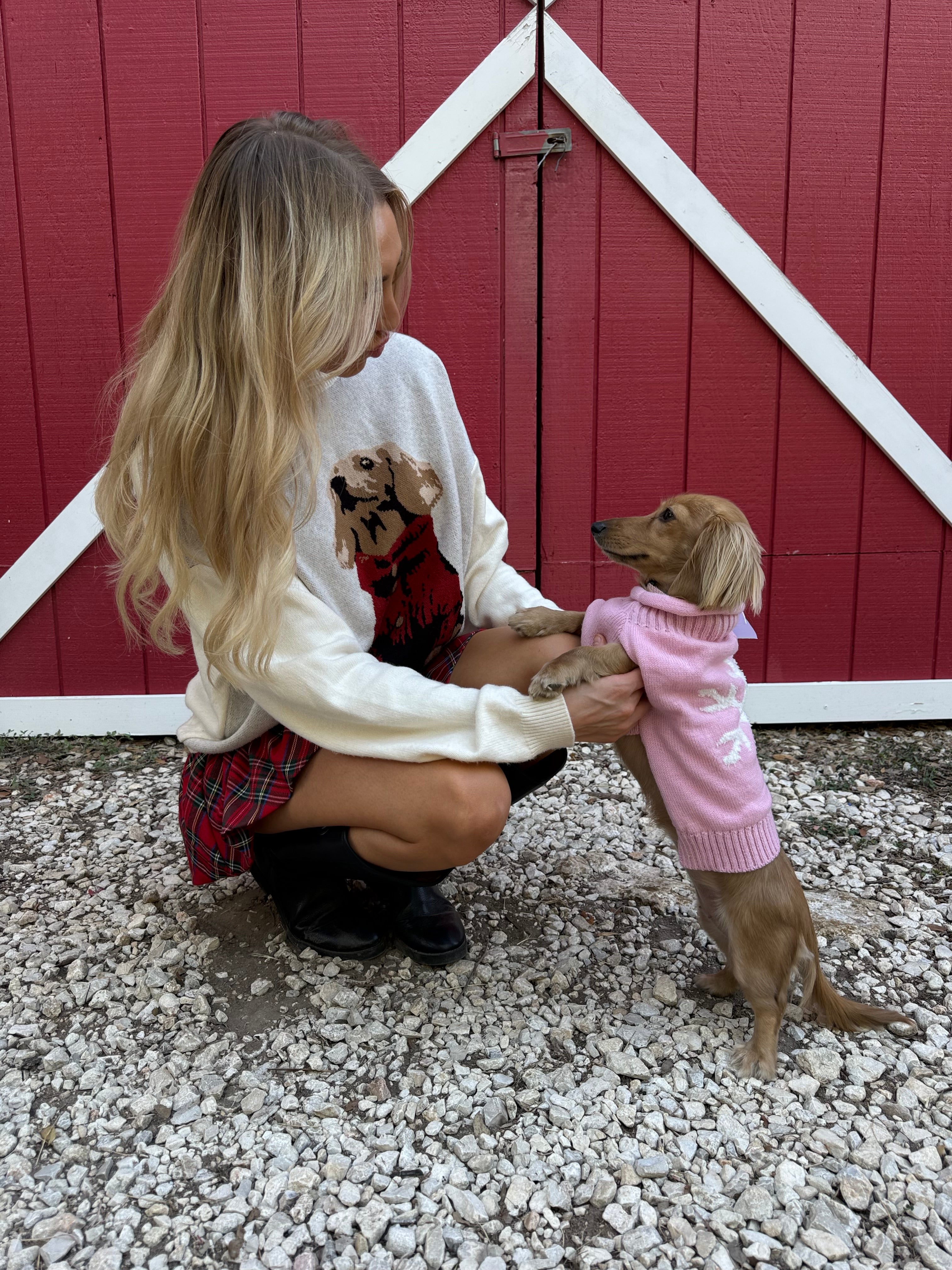 Dachsund Sweater
