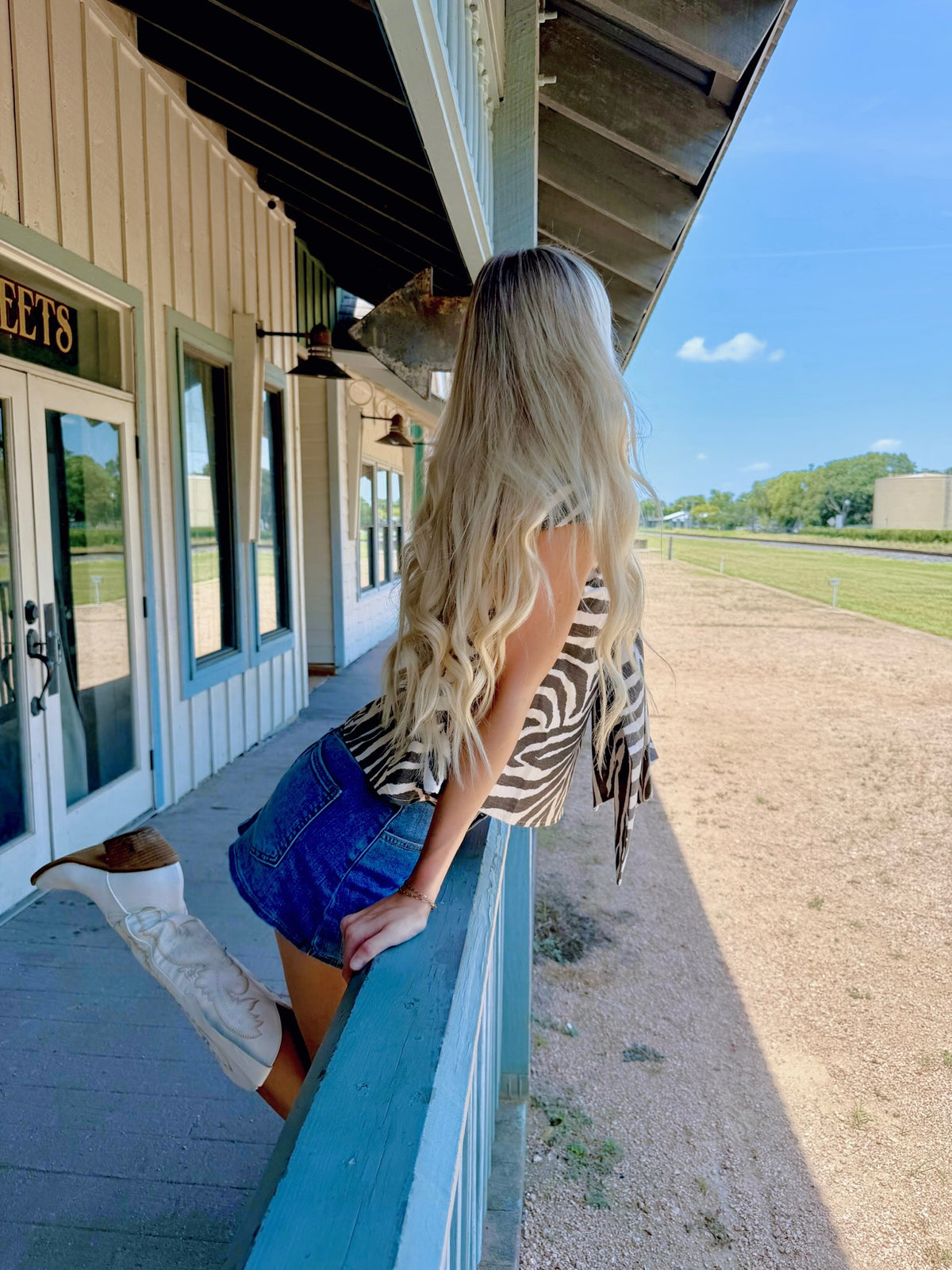 Zebra OTS Bow Top